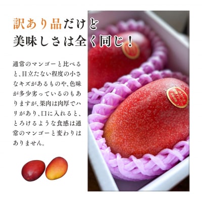 訳あり 古谷農園 宮崎完熟マンゴー B級品 2L×2個 ご家庭用 旬 トロピカル フルーツ 果物