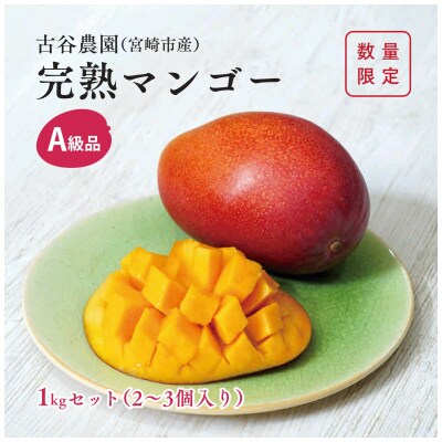 A級品 古谷農園 宮崎完熟マンゴー 1k (2～3個入り) 旬 トロピカル フルーツ 果物 宮崎県産