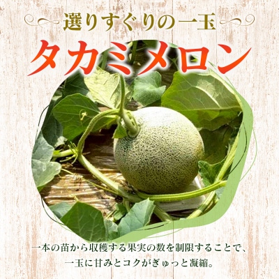 糖度15度以上 朝採れ タカミメロン 宮崎県産 約5kg 霧島連山の麓育ち 初夏 旬 フルーツ 青肉