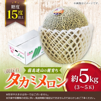 糖度15度以上 朝採れ タカミメロン 宮崎県産 約5kg 霧島連山の麓育ち 初夏 旬 フルーツ 青肉