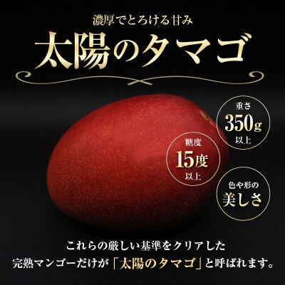 <2027年発送>『太陽のタマゴ』 宮崎 完熟マンゴー 2L×2玉(1玉350～459g) 宮崎県産