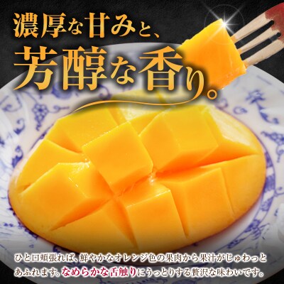<2027年発送>『太陽のタマゴ』 宮崎 完熟マンゴー 2L×2玉(1玉350～459g) 宮崎県産