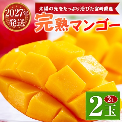 <2027年発送>宮崎県産 完熟マンゴー 2Lサイズ×2玉(1玉350～459g) 宮崎 トロピカル