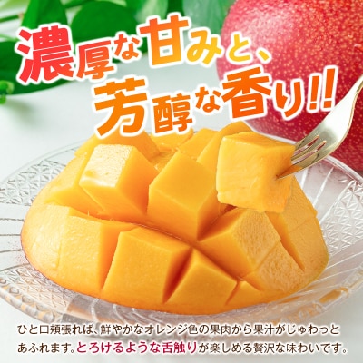 <2027年発送>宮崎県産 完熟マンゴー 2Lサイズ×2玉(1玉350～459g) 宮崎 トロピカル