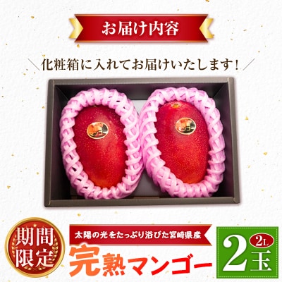 <2027年発送>宮崎県産 完熟マンゴー 2Lサイズ×2玉(1玉350～459g) 宮崎 トロピカル