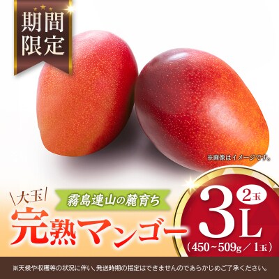 宮崎 樹上完熟 マンゴー 3Lサイズ×2玉 霧島連山の麓育ち 宮崎県産 トロピカル フルーツ お取り