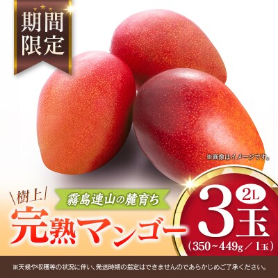 宮崎 樹上完熟 マンゴー 2Lサイズ×3玉 霧島連山の麓育ち 宮崎県産 トロピカル フルーツ お取り