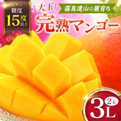 《甘い!!糖度15度以上》 宮崎 樹上完熟 マンゴー 3Lサイズ×2玉 霧島連山の麓育ち 宮崎県産 