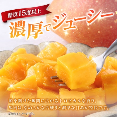 《甘い!!糖度15度以上》 宮崎 樹上完熟 マンゴー 3Lサイズ×2玉 霧島連山の麓育ち 宮崎県産 