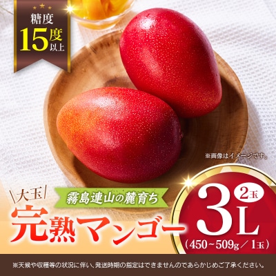 《甘い!!糖度15度以上》 宮崎 樹上完熟 マンゴー 3Lサイズ×2玉 霧島連山の麓育ち 宮崎県産 