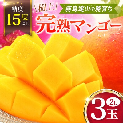 《甘い!!糖度15度以上》 宮崎 樹上完熟 マンゴー 2Lサイズ×3玉 霧島連山の麓育ち 宮崎県産 