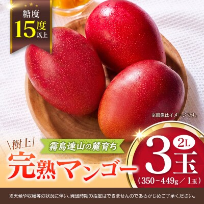 《甘い!!糖度15度以上》 宮崎 樹上完熟 マンゴー 2Lサイズ×3玉 霧島連山の麓育ち 宮崎県産 