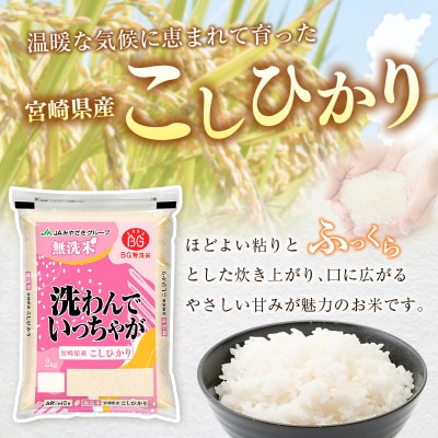 令和8年産 無洗米 こしひかり 2kg 宮崎県産 米 コメ 精米 BG無洗米 HACCP コシヒカリ