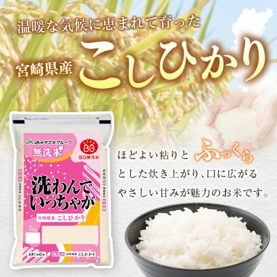 令和8年産 無洗米 こしひかり 5kg 宮崎県産 米 コメ 精米 BG無洗米 HACCP コシヒカリ
