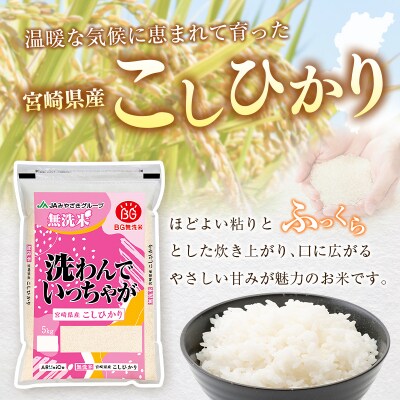 令和8年産 無洗米 こしひかり 10kg 宮崎県産 米 コメ 精米 BG無洗米 HACCP コシヒカ