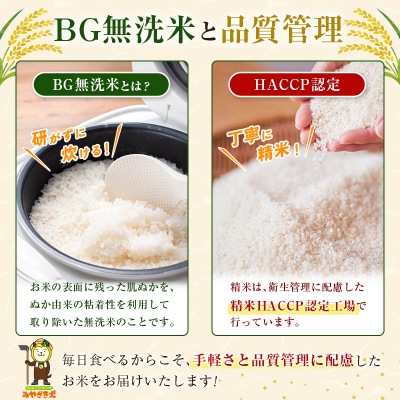 令和8年産 無洗米 こしひかり 10kg 宮崎県産 米 コメ 精米 BG無洗米 HACCP コシヒカ