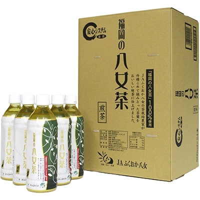 福岡の八女茶　煎茶ペットボトル(500ml)×24本