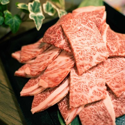 博多和牛 焼肉用切り落とし 500g(篠栗町)