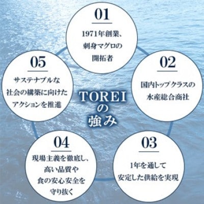 【ふるさと納税限定】ねぎとろ まぐろたたき 100g×13P