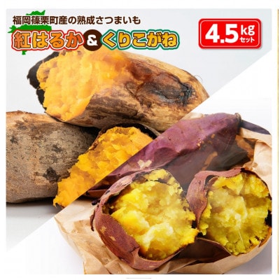 【ふるさと納税】篠栗町産の熟成さつまいも「紅はるか」「くりこがね」(4.5kgセット)