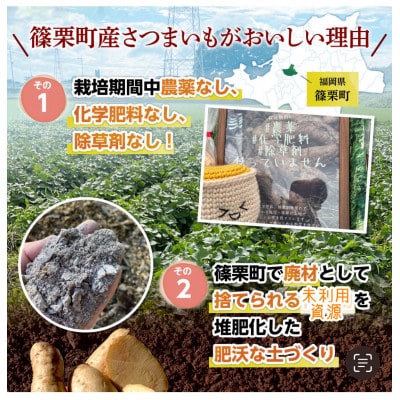 【ふるさと納税】篠栗町産の熟成さつまいも「紅はるか」「くりこがね」(4.5kgセット)