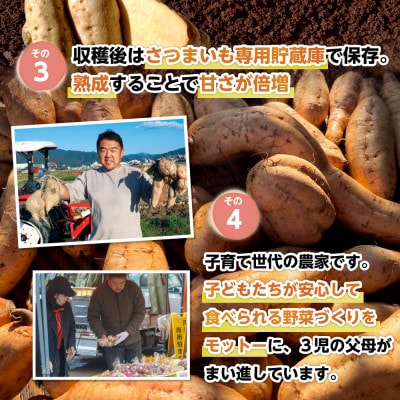 【ふるさと納税】篠栗町産の熟成さつまいも「紅はるか」「くりこがね」(4.5kgセット)