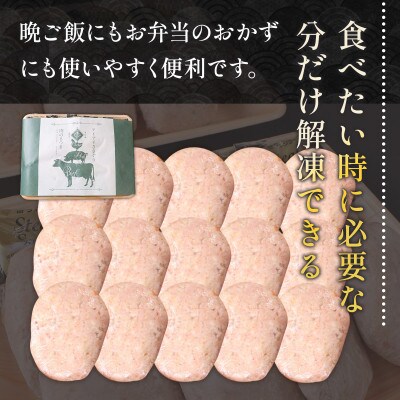 手ごねハンバーグ(100g×15個)+ステーキソース(8個)