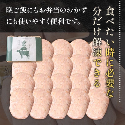 手ごねハンバーグ(100g×20個)+ステーキソース(10個)