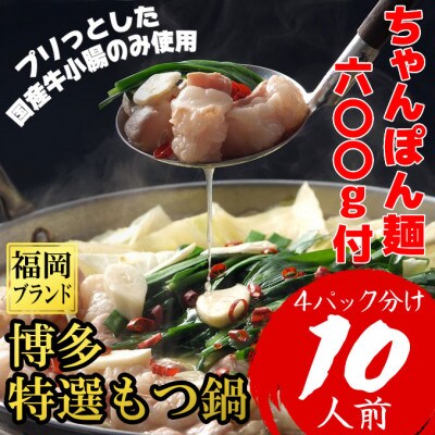 「10人前!」博多特選もつ鍋醤油味(プリプリの国産牛小腸のみ使用)(4パック小分けが便利)(篠栗町)