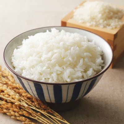 【令和7年産】福岡県産 夢つくし10kg(5kg×2袋)(篠栗町)