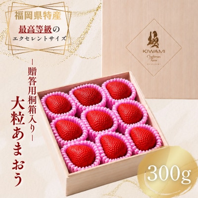 【2026年12月～順次発送】あまおう『極』重箱1段 9粒 (約300g) (篠栗町)