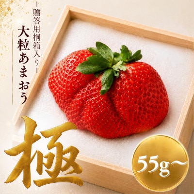 【2026年12月～順次発送】あまおう「極」大粒 約55g～ (篠栗町)
