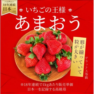 【2026年12月～順次発送】あまおう「極」大粒 約55g～ (篠栗町)