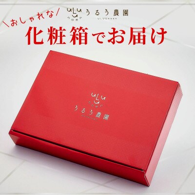 【2026年12月～順次発送】うるう農園の贈答用あまおうEX 400g (篠栗町)