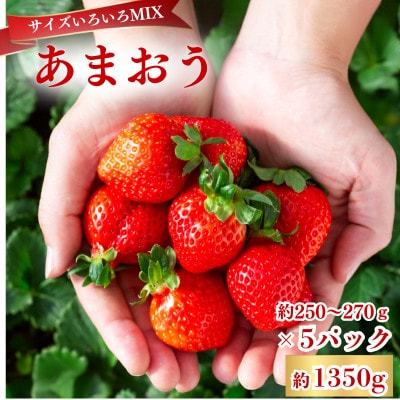 【2027年3月～4月発送】あまおうサイズいろいろMIX約250～270g×5P(約1350g)