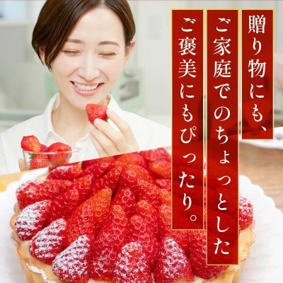 【2027年3月～4月発送】あまおうサイズいろいろMIX約250～270g×4P(約1080g)