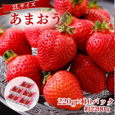 【2026年12月～2月発送】うるう農園のあまおう(2Lサイズ) 約220g×10P(約2200g)