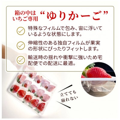 【2026年12月～2月発送】うるう農園のあまおう(2Lサイズ) 約220g×10P(約2200g)