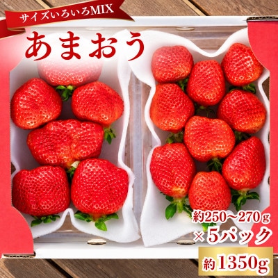 【2026年12月～2月発送】あまおうサイズいろいろMIX約250～270g×5P(約1350g)