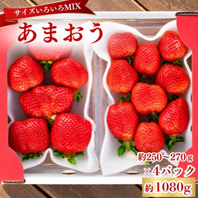 【2026年12月～2月発送】あまおうサイズいろいろMIX約250～270g×4P(約1080g)