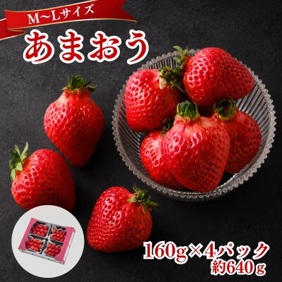 【2026年12月～2月発送】うるう農園のあまおう(MLサイズ) 約160g×4P(約640g)