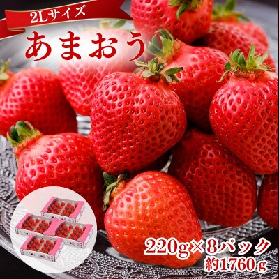 【2026年12月～2月発送】うるう農園のあまおう(2Lサイズ) 約220g×8P(約1760g)