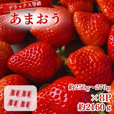 【2026年12月～2月発送】うるう農園のあまおうDX約250～270g×8P(約2160g)