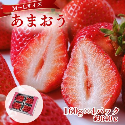 【2027年3月～4月発送】うるう農園のあまおう(MLサイズ)約160g×4P(約640g)