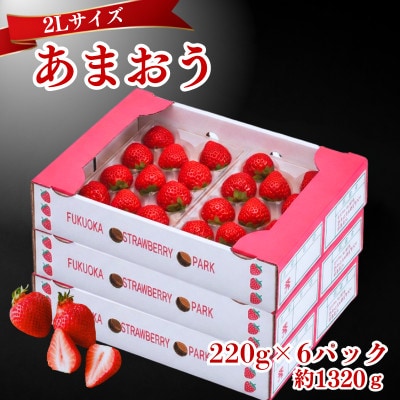 【2026年12月～2月発送】うるう農園のあまおう(2Lサイズ) 約220g×6P(約1320g)