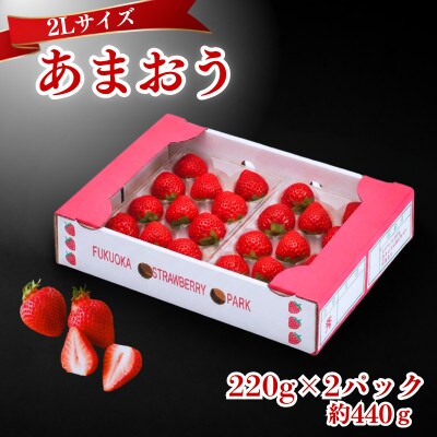 【2026年12月～2月発送】うるう農園のあまおう(2Lサイズ) 約220g×2P(約440g)