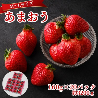 【2026年12月～2月発送】うるう農園のあまおう(MLサイズ) 約160g×20P(約3200g)