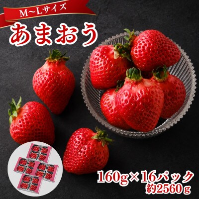 【2026年12月～2月発送】うるう農園のあまおう(MLサイズ) 約160g×16P(約2560g)