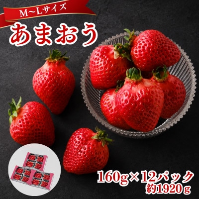 【2026年12月～2月発送】うるう農園のあまおう(MLサイズ) 約160g×12P(1920g)