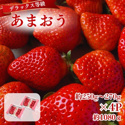 【2026年12月～2月発送】うるう農園のあまおうDX約250～270g×4P(約1080g)